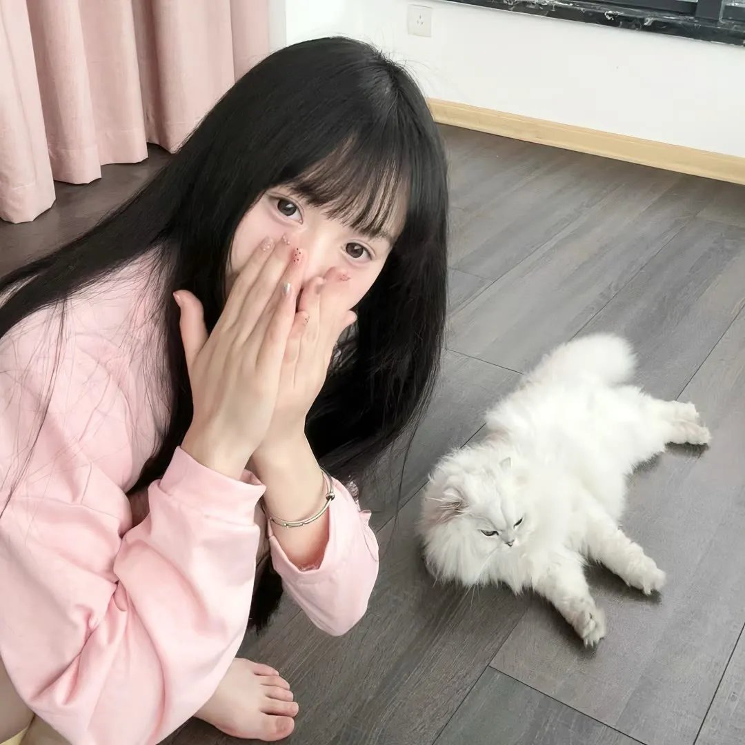 灵狐