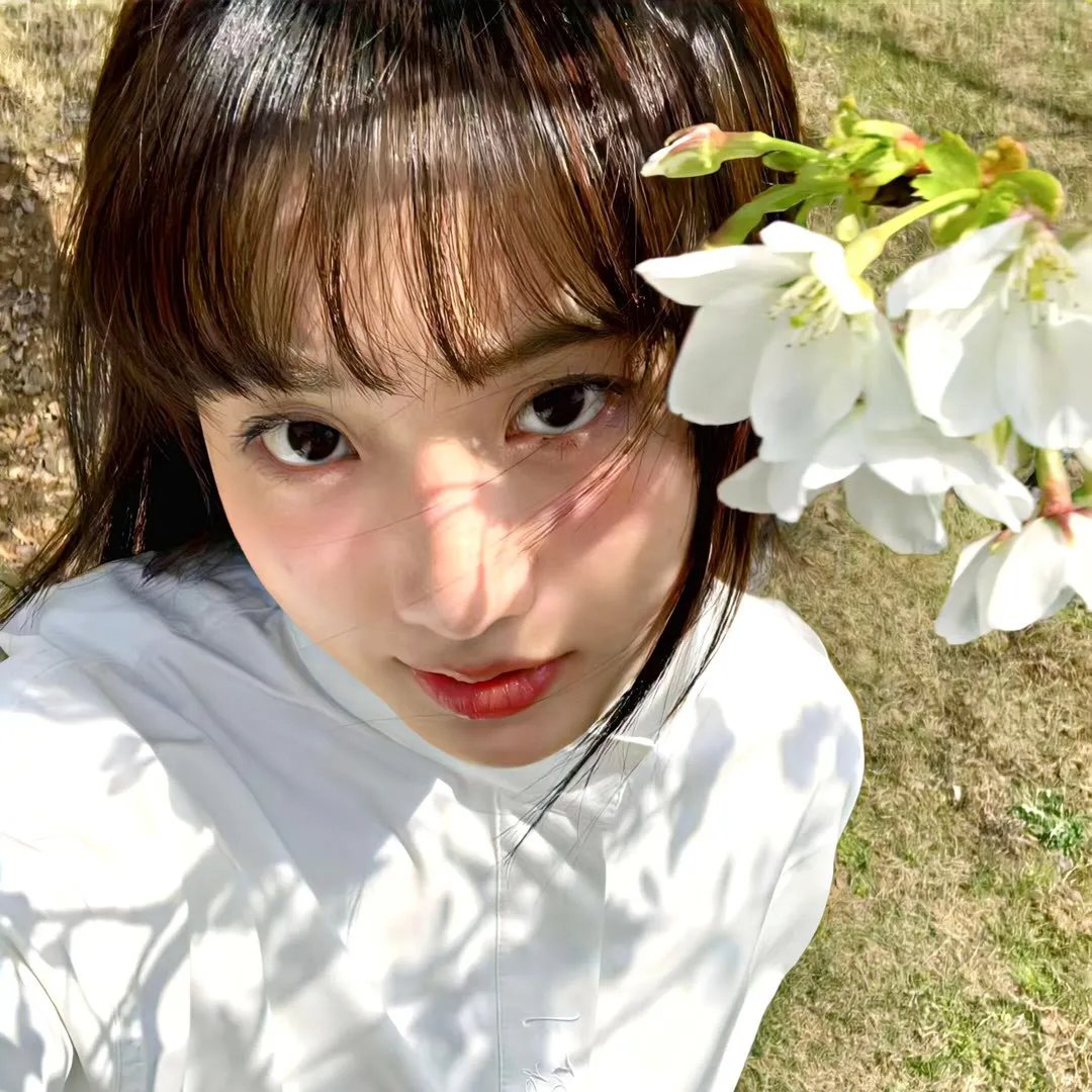 红场飞龙